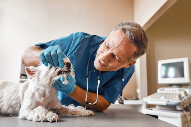 Best Urgent Care for Lost Fillings or Crowns in Bunker Hill, OR